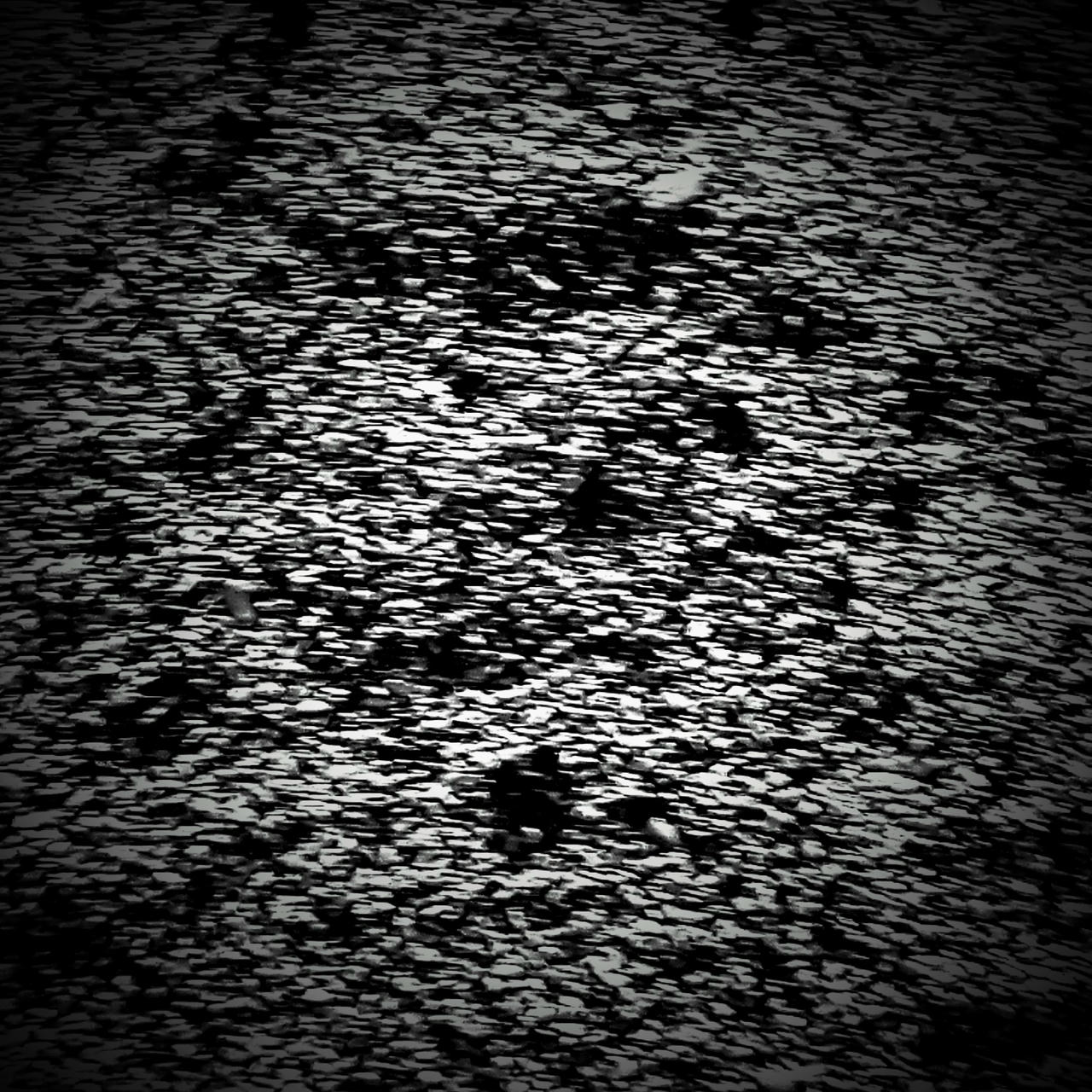 Cover Harald Hofmeister: grains of sound
