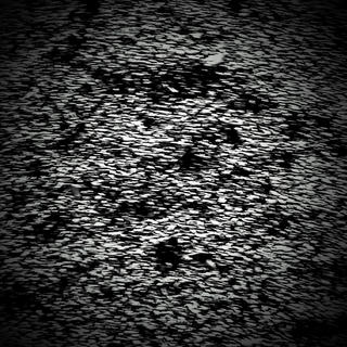 Cover Harald Hofmeister: grains of sound