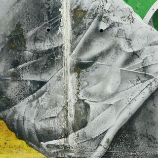 Cover PASCHOG S IV